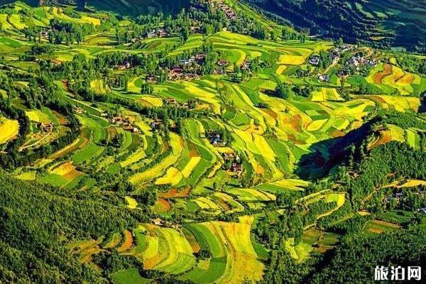 甘肃莲花山分景区旅游攻略 甘肃莲花山分景区旅游攻略