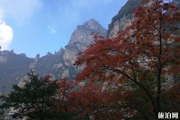 白石山游记 白石山游记