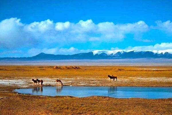 国内禁止旅游的景点有哪些 户外旅游注意事项 国内禁止旅游的景点有哪些 户外旅游注意事项