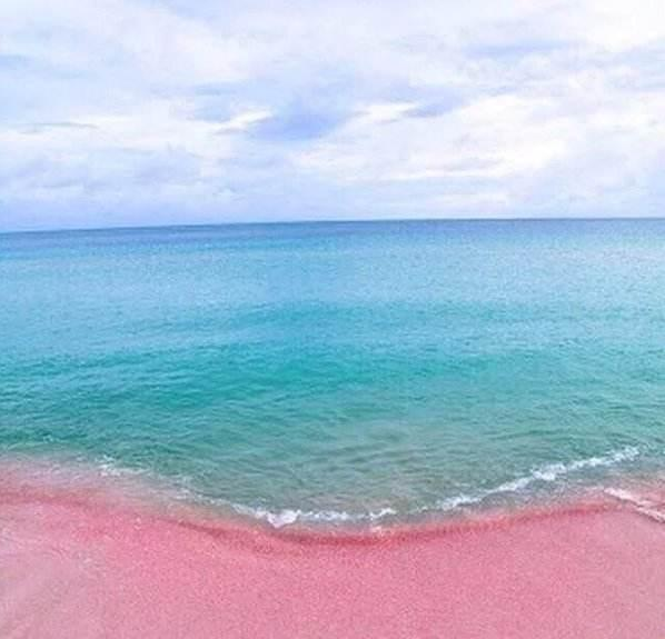巴哈马粉色沙滩旅游 巴哈马粉色沙滩在哪里 巴哈马粉色沙滩怎么去 巴哈马粉色沙滩旅游 巴哈马粉色沙滩在哪里 巴哈马粉色沙滩怎么去