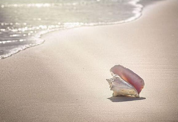 巴哈马粉色沙滩旅游 巴哈马粉色沙滩在哪里 巴哈马粉色沙滩怎么去 巴哈马粉色沙滩旅游 巴哈马粉色沙滩在哪里 巴哈马粉色沙滩怎么去
