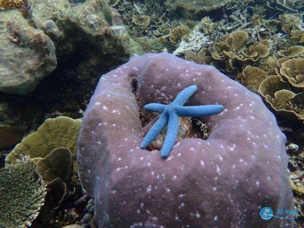 2018沙巴自助游攻略+注意事项 2018沙巴自助游攻略+注意事项