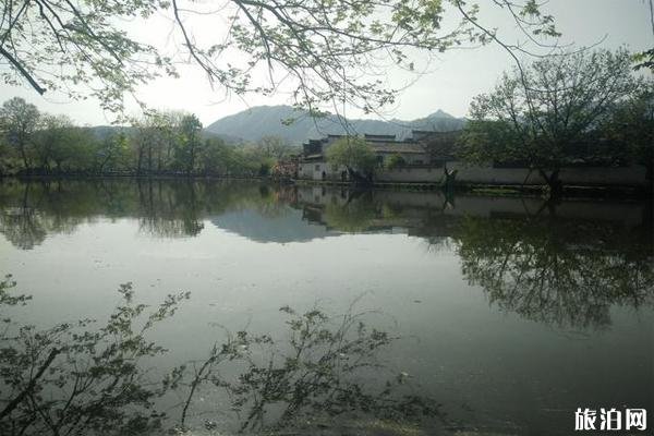 2022安徽屏山景区旅游攻略 - 景点介绍 - 门票