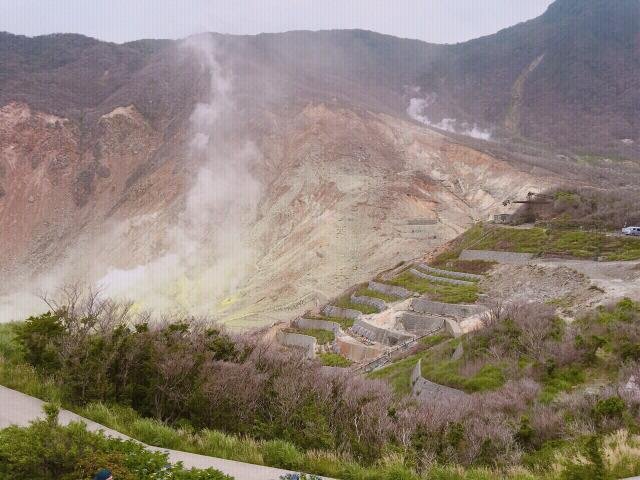 东京箱根京都大阪七日游自由行旅游攻略2017 东京箱根京都大阪七日游自由行旅游攻略2017