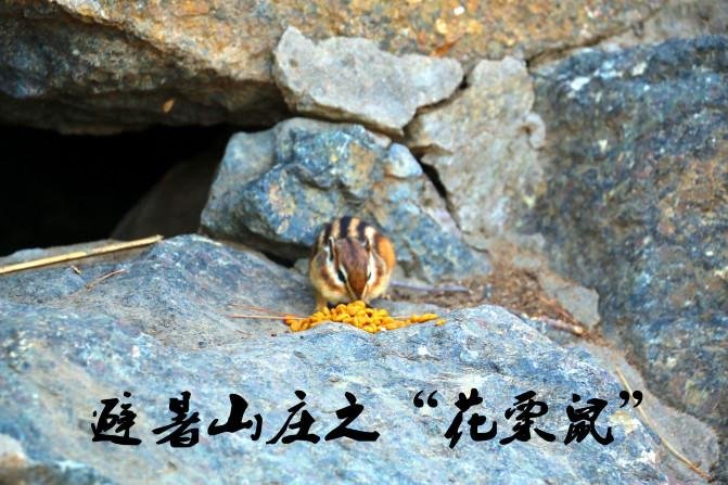承德有什么好玩的 承德的有什么好吃的 承德有什么好玩的 承德的有什么好吃的