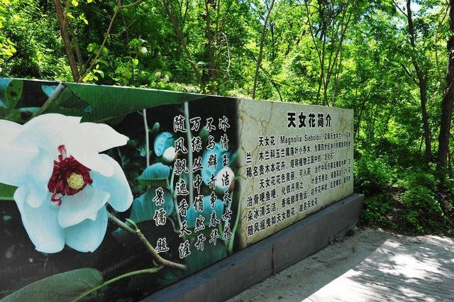 抚顺有什么好玩的 抚顺有什么好玩的