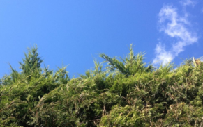 爱尔兰有哪些景点 爱尔兰有什么好玩的地方 爱尔兰有哪些景点 爱尔兰有什么好玩的地方