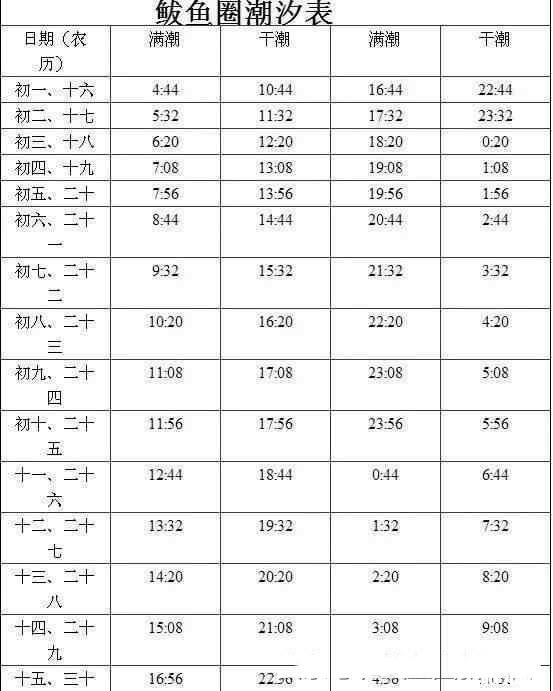 鲅鱼圈周边赶海的地方有哪些 鲅鱼圈周边赶海的地方有哪些