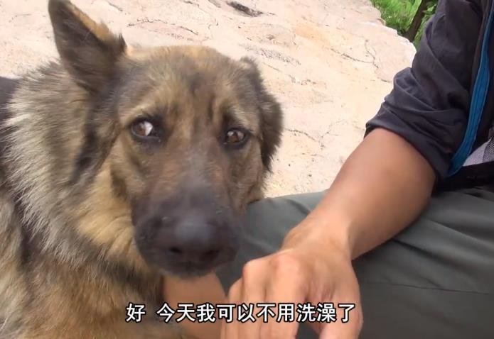背包去环游赤道第188集视频 背包去环游赤道第188集视频