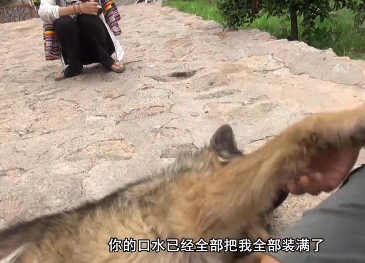 背包去环游赤道第188集视频 背包去环游赤道第188集视频
