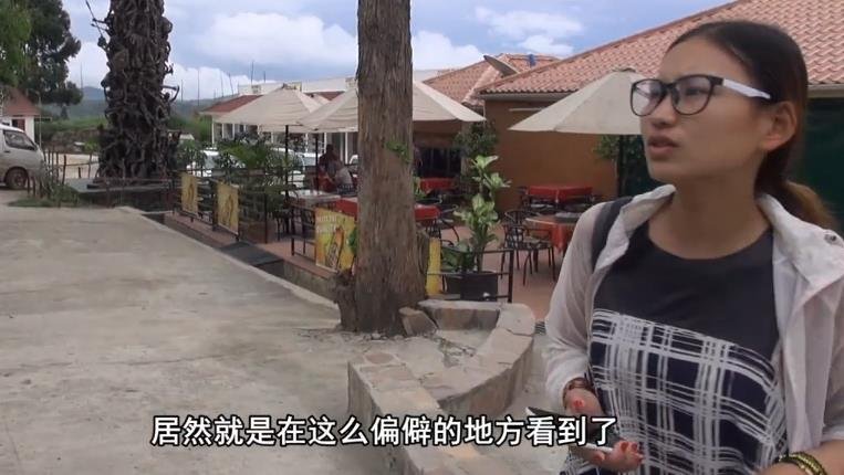 背包去环游赤道第188集视频 背包去环游赤道第188集视频