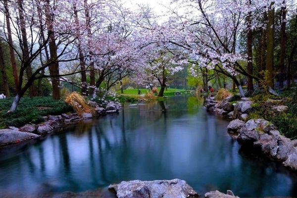 2022杭州太子湾公园要门票吗 - 开放时间 2022杭州太子湾公园要门票吗 - 开放时间