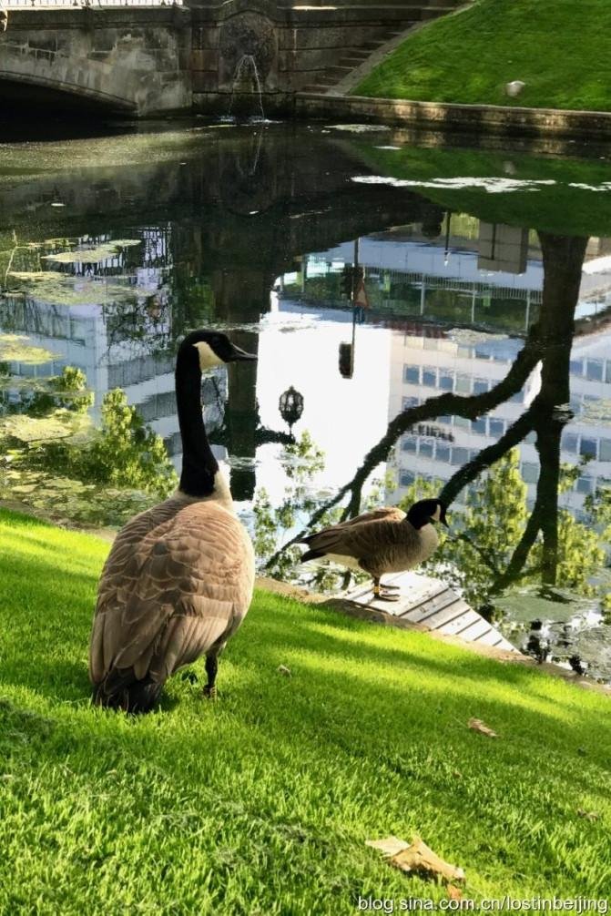 杜塞尔多夫有哪些旅游景点 杜塞尔多夫有什么好玩的 杜塞尔多夫有哪些旅游景点 杜塞尔多夫有什么好玩的