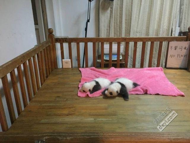 成都旅游住哪里方便 成都旅游住宿推荐 成都旅游住哪里方便 成都旅游住宿推荐