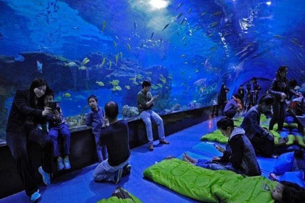 浩海立方海洋馆游玩攻略-门票价格-景点信息