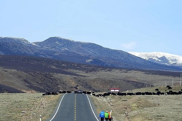 2022川藏南线旅游攻略 - 自驾游攻略 - 最佳时间 - 沿途风景