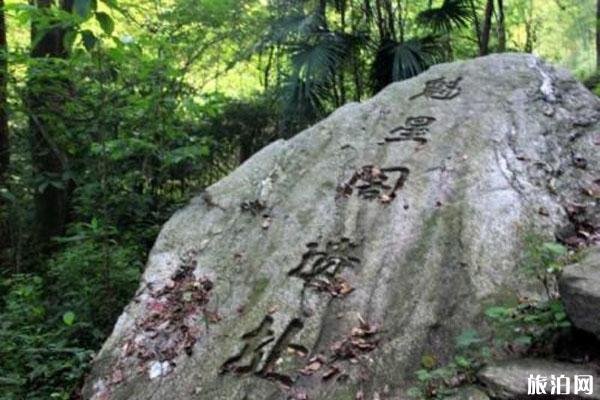 2022安庆白崖寨风景区游玩攻略 - 交通 - 门票