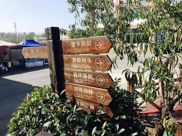 李中水上森林公园攻略游记 李中水上森林公园攻略游记