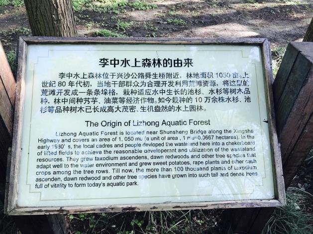李中水上森林公园攻略游记 李中水上森林公园攻略游记