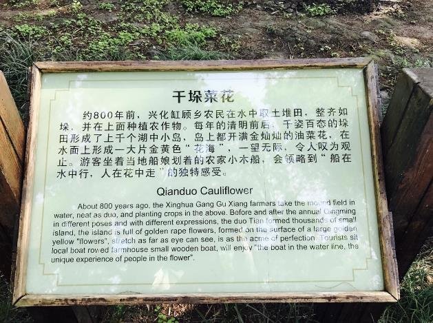 李中水上森林公园攻略游记 李中水上森林公园攻略游记