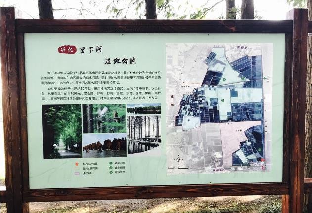 李中水上森林公园攻略游记 李中水上森林公园攻略游记