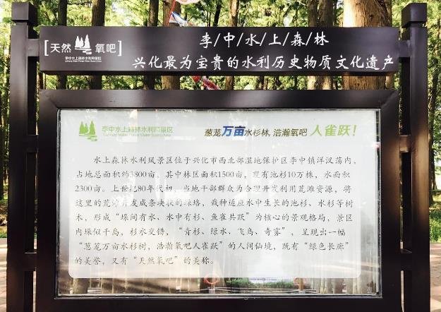李中水上森林公园攻略游记 李中水上森林公园攻略游记