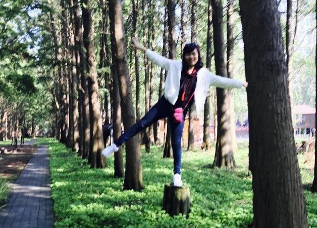李中水上森林公园攻略游记 李中水上森林公园攻略游记
