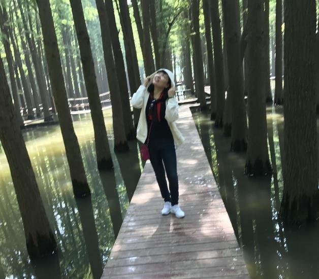 李中水上森林公园攻略游记 李中水上森林公园攻略游记