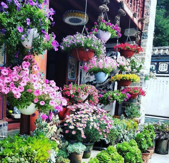 大理旅游攻略(美食+住宿+游玩指南) 大理旅游攻略(美食+住宿+游玩指南)