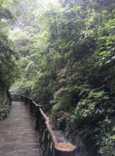 峨眉山旅游攻略 峨眉山在哪儿 峨眉山旅游攻略 峨眉山在哪儿