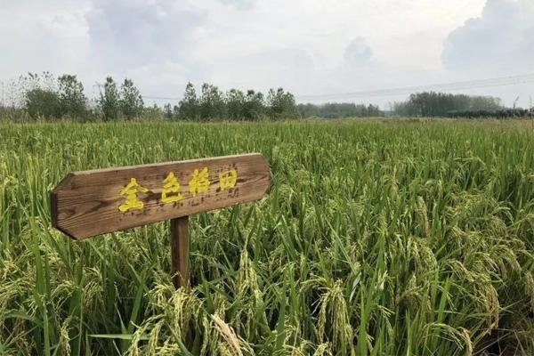 2021端午合肥长丰自驾游路线推荐 2021端午合肥长丰自驾游路线推荐