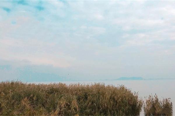 2022贡湖湾湿地公园介绍 - 开放时间 - 地址交通 - 游玩攻略 2022贡湖湾湿地公园介绍 - 开放时间 - 地址交通 - 游玩攻略