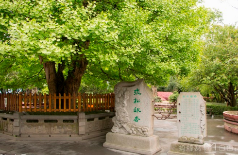 都江堰有什么景点 都江堰门票多少钱 都江堰有什么景点 都江堰门票多少钱