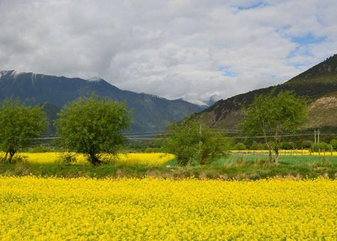 2017林芝有哪些值得游玩的地方 什么时候去林芝最好 2017林芝有哪些值得游玩的地方 什么时候去林芝最好