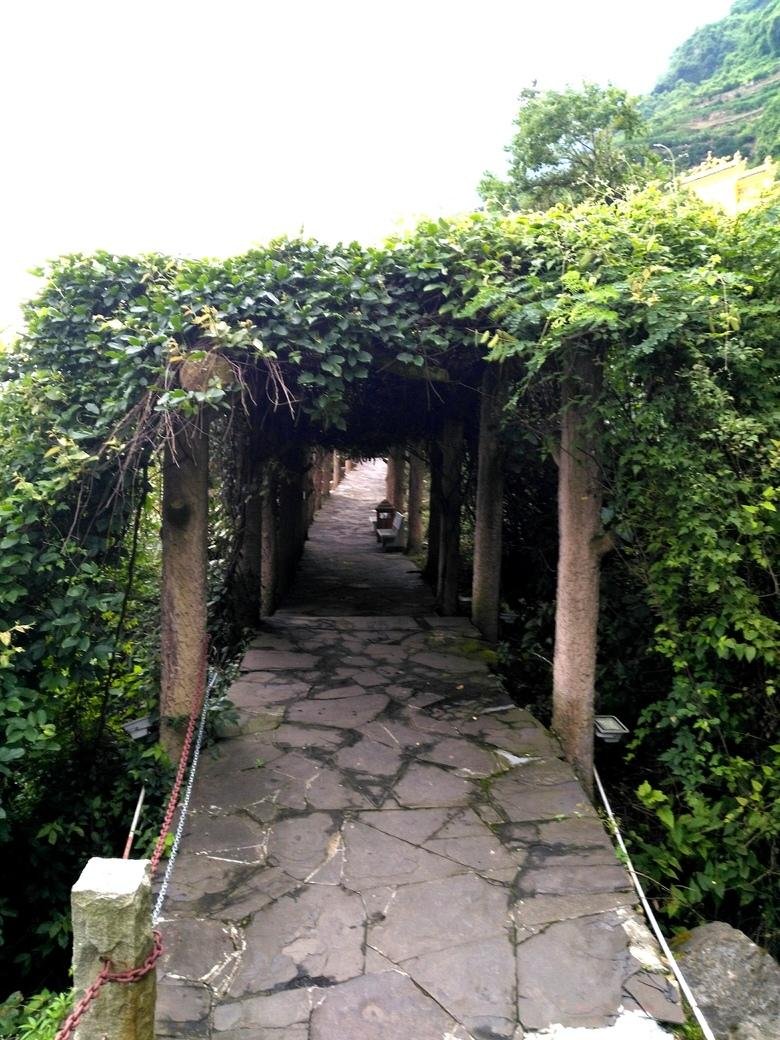 链子崖风景区门票多少钱 链子崖风景区攻略 链子崖风景区门票多少钱 链子崖风景区攻略
