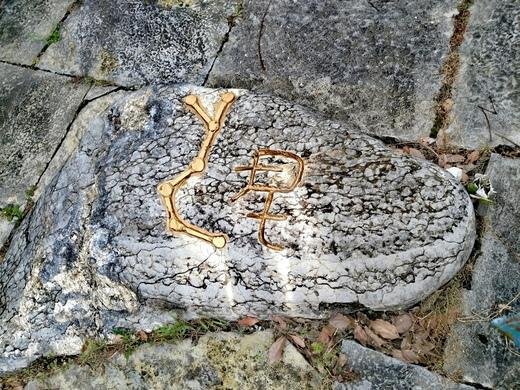 链子崖风景区门票多少钱 链子崖风景区攻略 链子崖风景区门票多少钱 链子崖风景区攻略