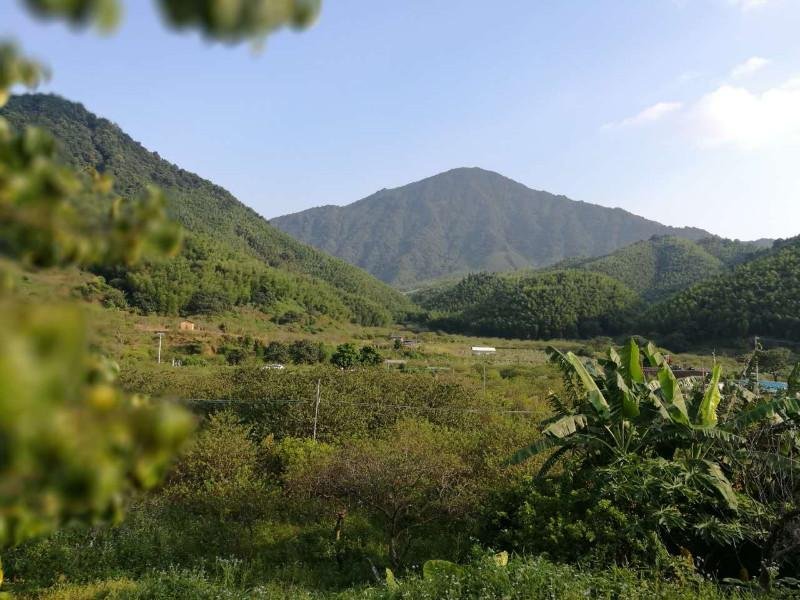 从化有什么旅游景点 从化有什么好玩的 从化有什么旅游景点 从化有什么好玩的