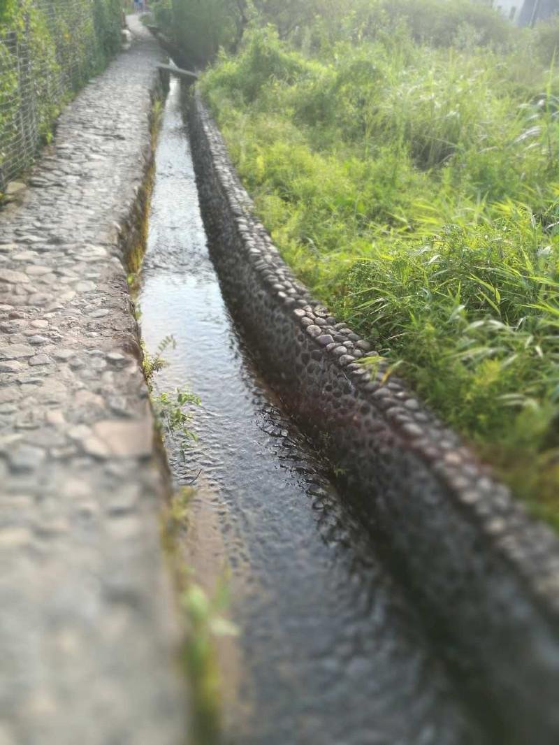 从化有什么旅游景点 从化有什么好玩的 从化有什么旅游景点 从化有什么好玩的