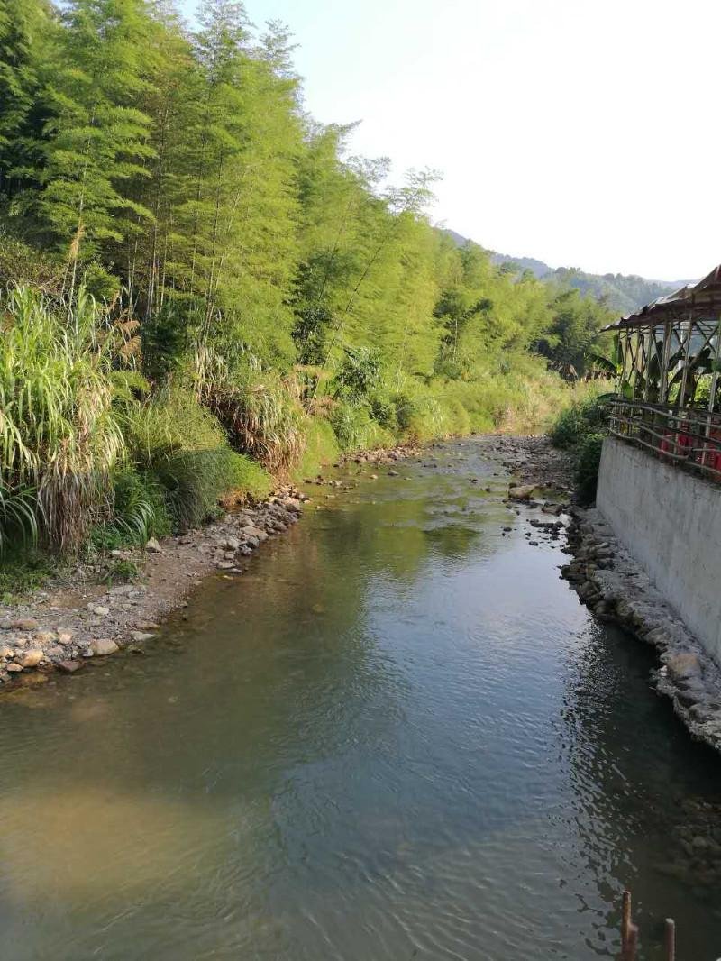 从化有什么旅游景点 从化有什么好玩的 从化有什么旅游景点 从化有什么好玩的