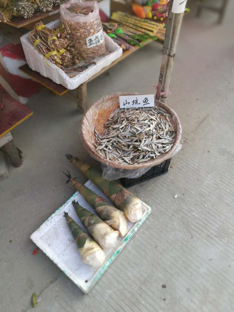 从化有什么旅游景点 从化有什么好玩的 从化有什么旅游景点 从化有什么好玩的