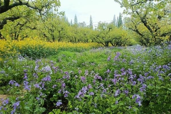 2022柳树湾风景区门票 - 地址 - 交通 - 景区介绍 2022柳树湾风景区门票 - 地址 - 交通 - 景区介绍