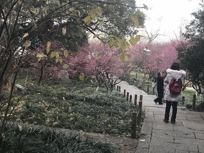 杭州有哪些旅游景点 杭州有哪些旅游景点