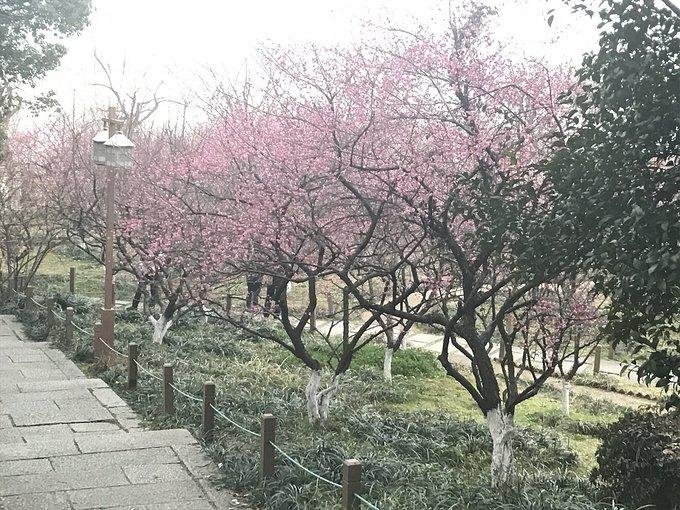 杭州有哪些旅游景点 杭州有哪些旅游景点