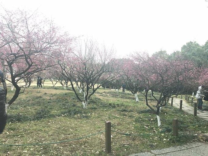 杭州有哪些旅游景点 杭州有哪些旅游景点