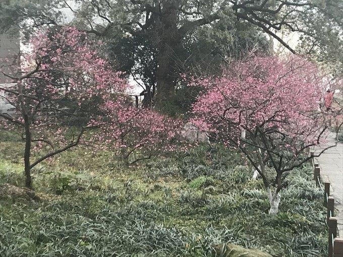 杭州有哪些旅游景点 杭州有哪些旅游景点