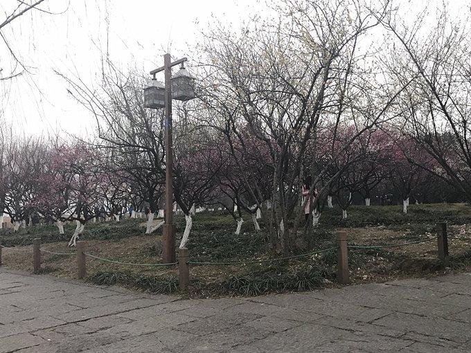 杭州有哪些旅游景点 杭州有哪些旅游景点
