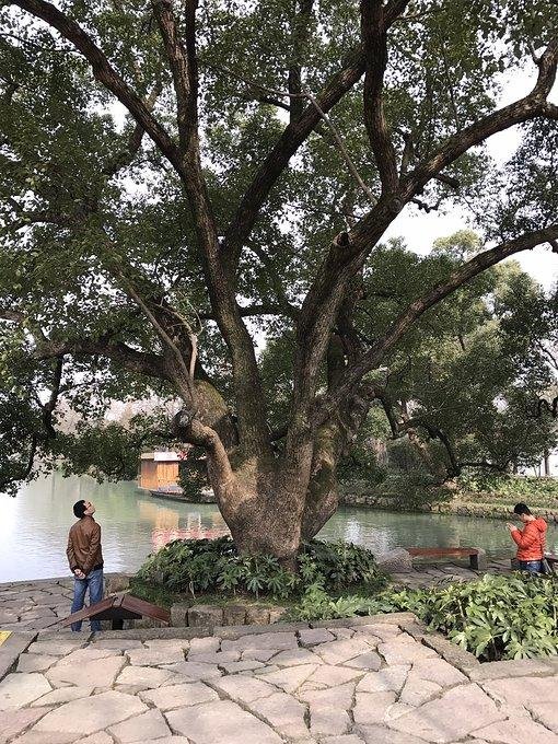 杭州有哪些旅游景点 杭州有哪些旅游景点