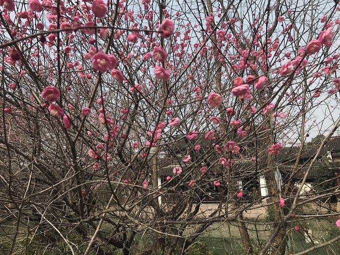 杭州有哪些旅游景点 杭州有哪些旅游景点