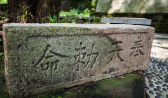 东莞一日游哪里好玩 东莞一日游哪里好玩