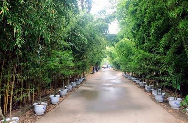 2022大禹风景竹园门票 - 开放时间 - 地址 - 景区介绍 2022大禹风景竹园门票 - 开放时间 - 地址 - 景区介绍